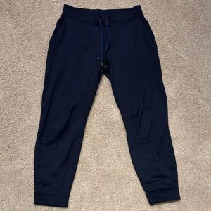 Lululemon 2018 City Sweat Navy Thermo Joggers Mens Size Large